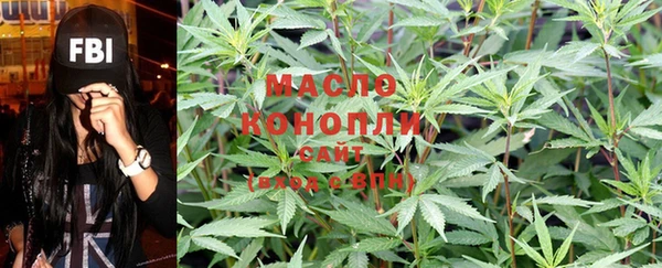 эйфоретик Арсеньев