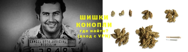 прущие крисы Аркадак